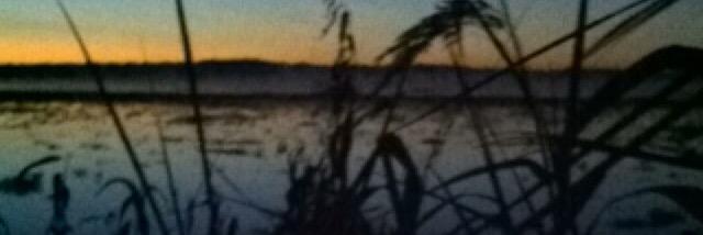 blaizehotard's profile banner image