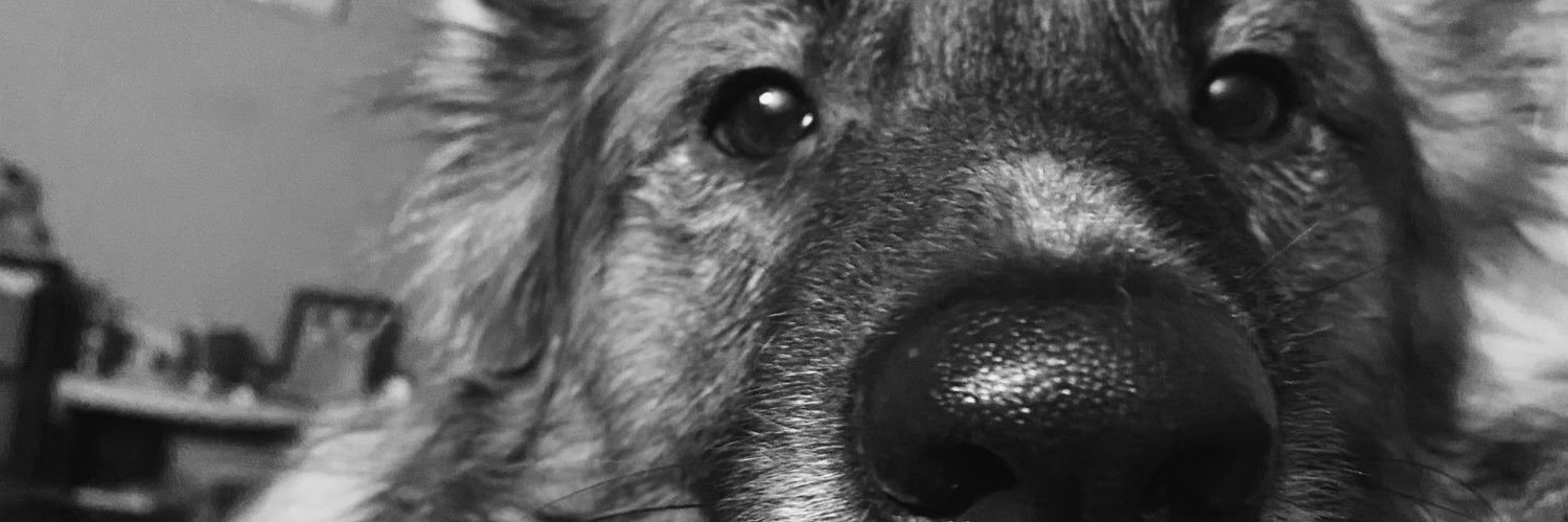 thwildy's profile banner image