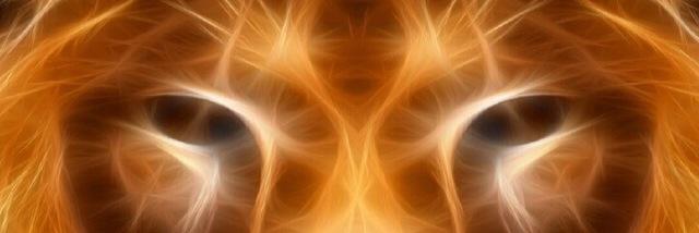 othmany797's profile banner image