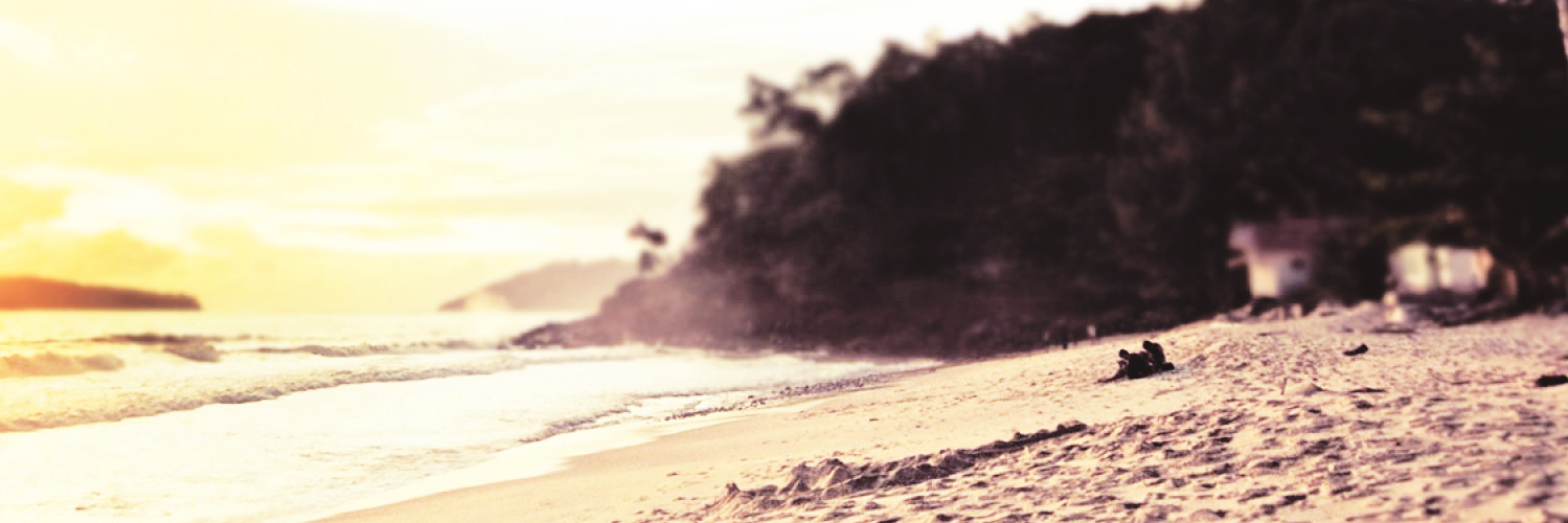 KurtHummelCat's profile banner image