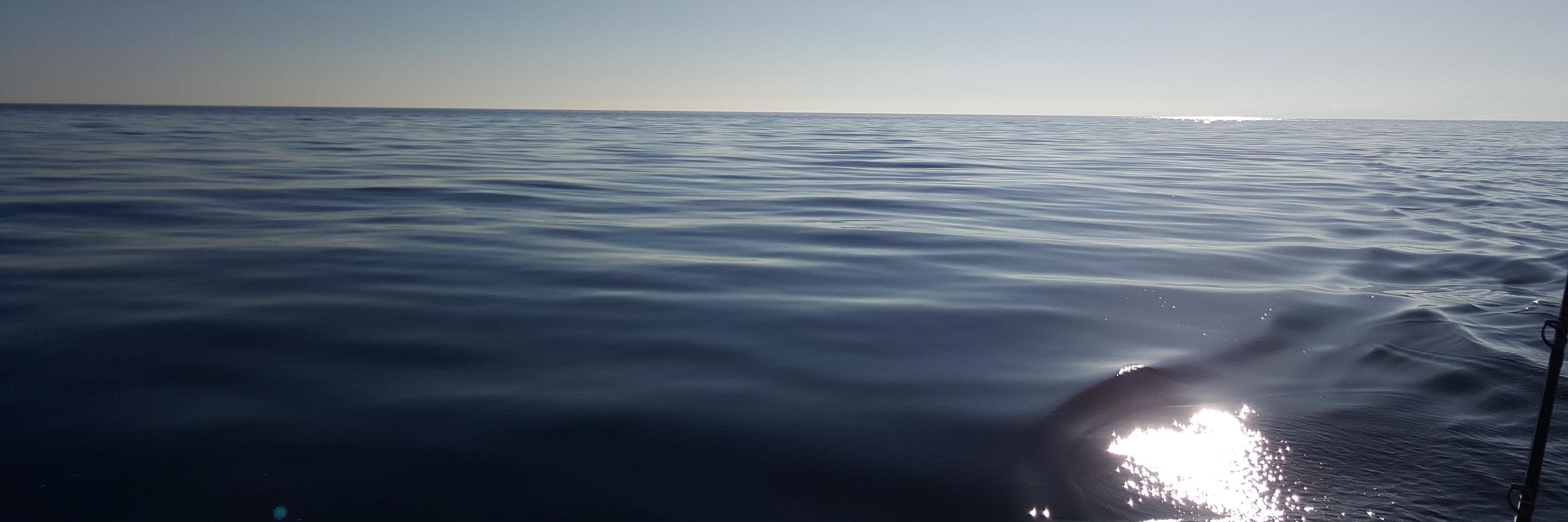 WAVEITALY's profile banner image