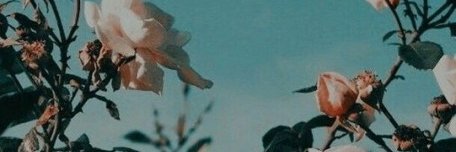 empathicclaws's profile banner image