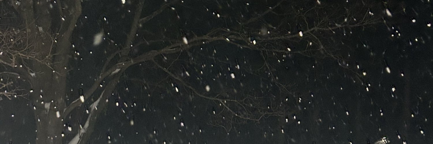 LivSimon7's profile banner image
