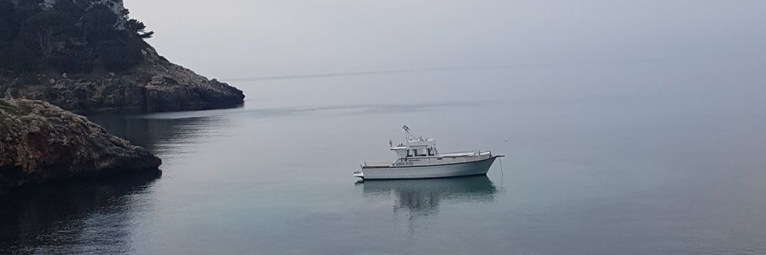 ANA M. D. NARVÁEZ banner