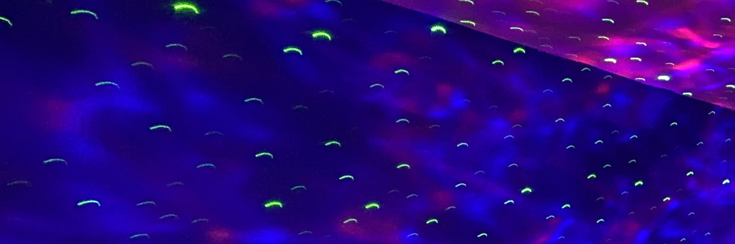 ShiniJii's profile banner image