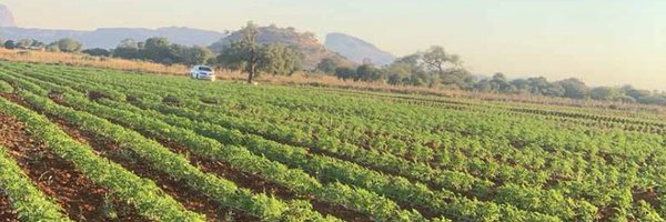 Mkdiala_ Profile Banner