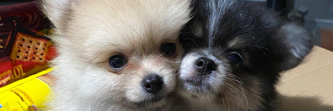 jexzm's profile banner image