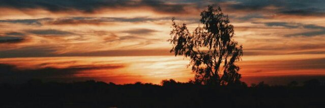 FlorDom09's profile banner image