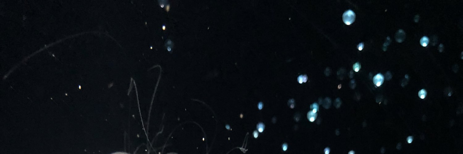 MEMOODTONE's profile banner image