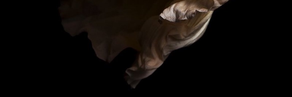 DESPERTARES México banner