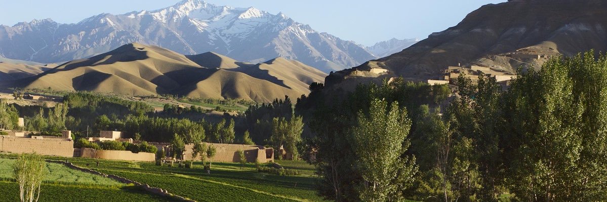 shafaq199's profile banner image