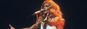 stein_gauthier's profile banner image