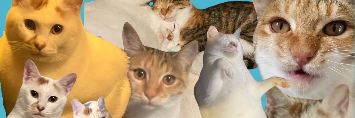 のうじょうりえ banner