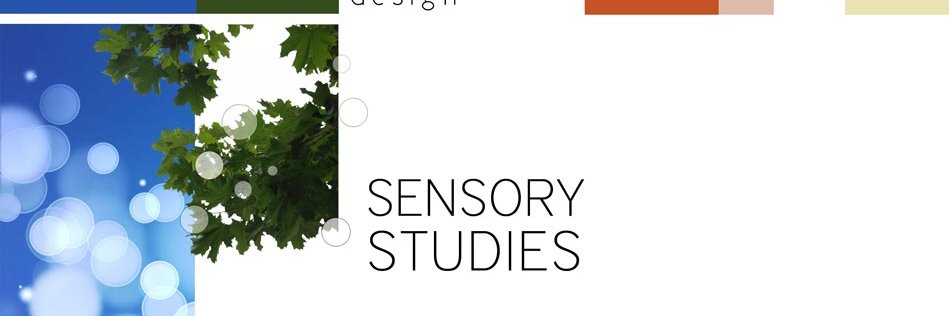 SensoryStudies's profile banner image