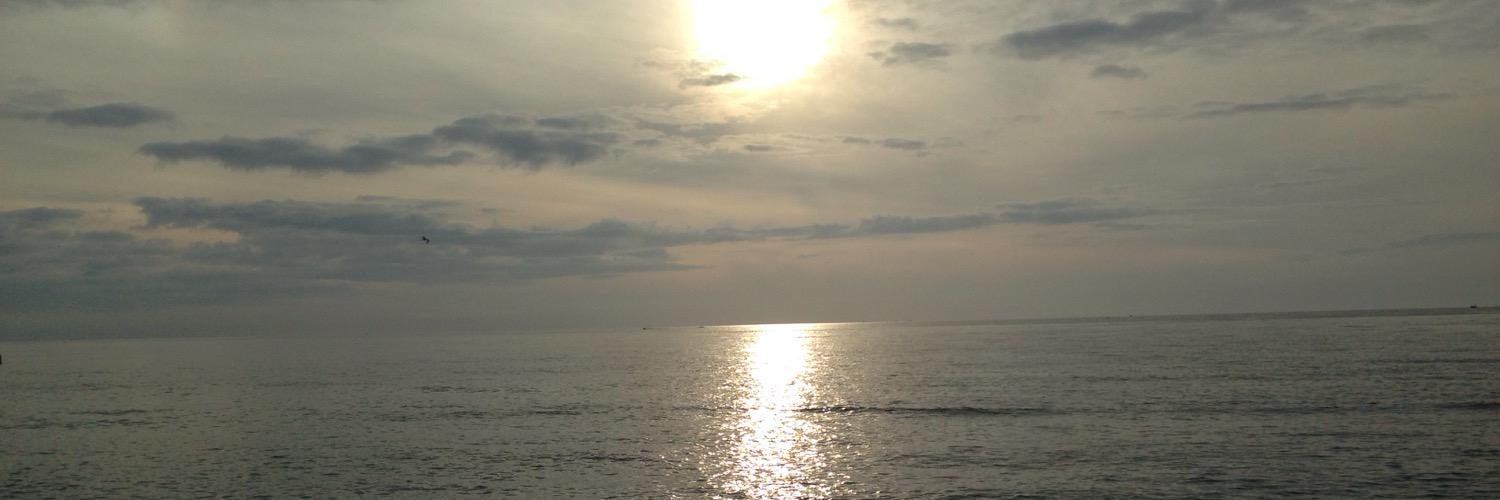 lilmommagunit's profile banner image