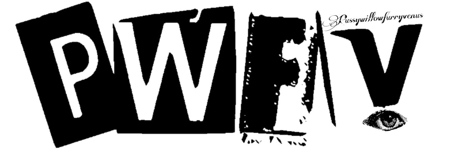 PussyWillowFurryVenus banner