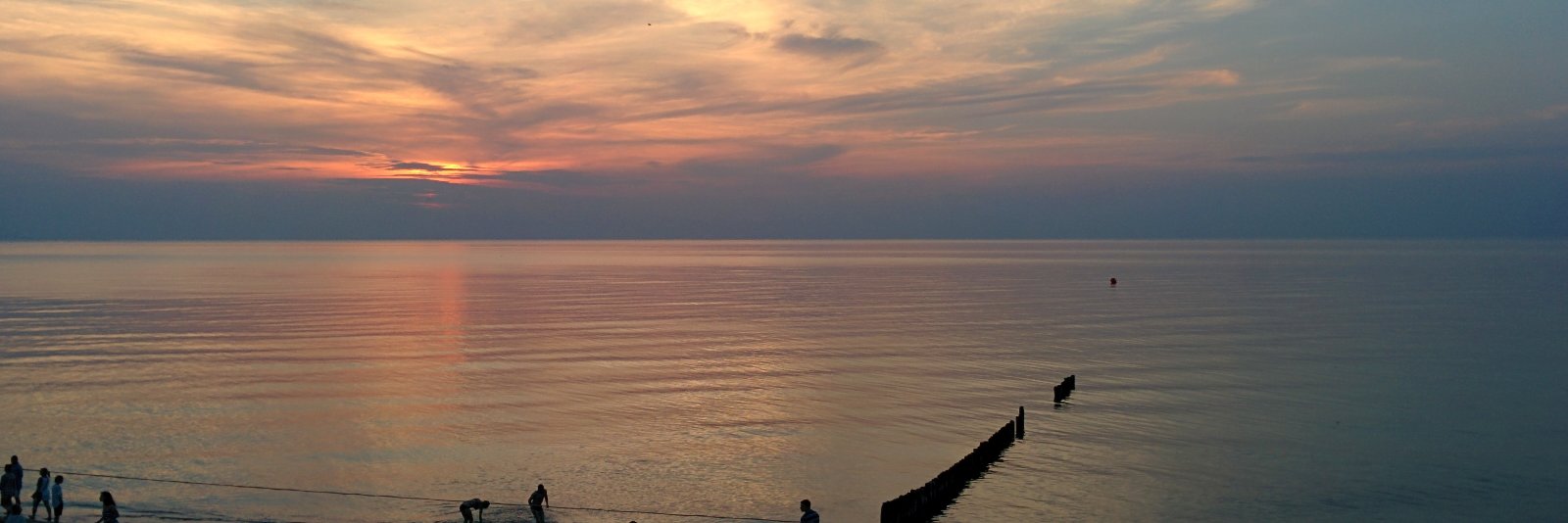 NelsonAtwell's profile banner image