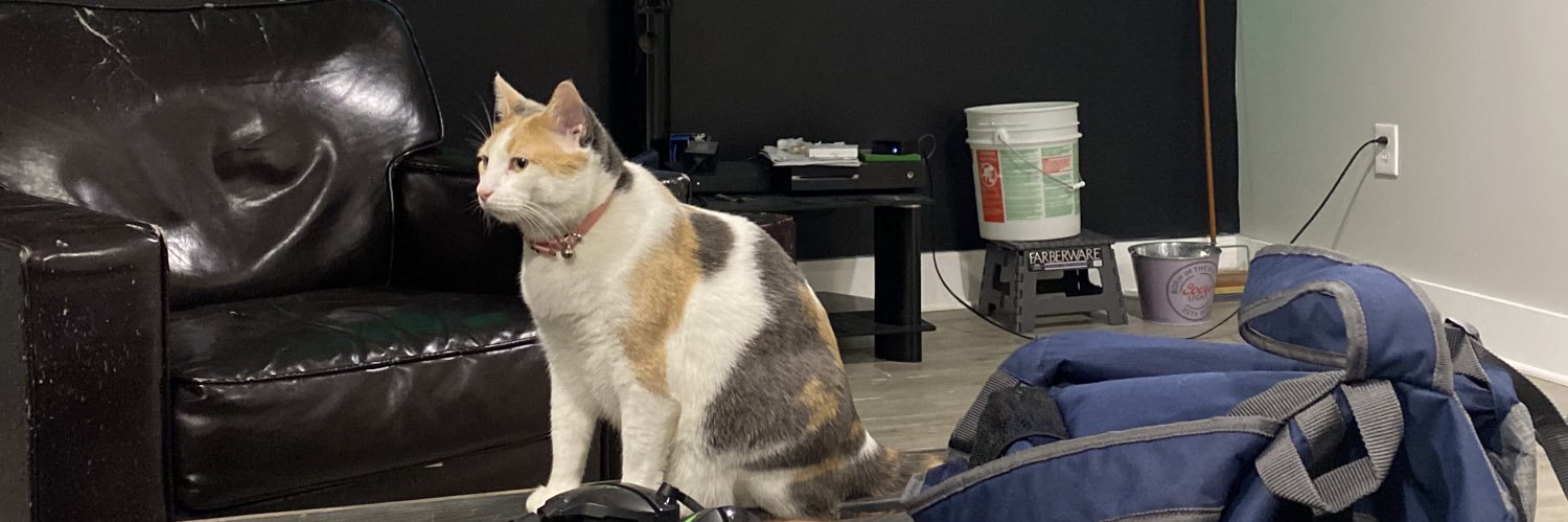 dampednski's profile banner image