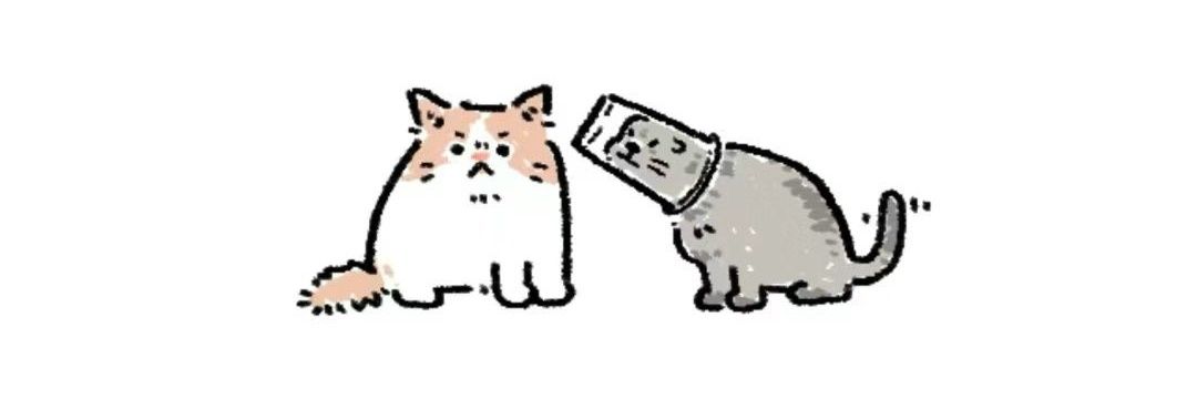 rilopaw's profile banner image