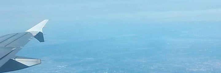 la plante d'à côté banner