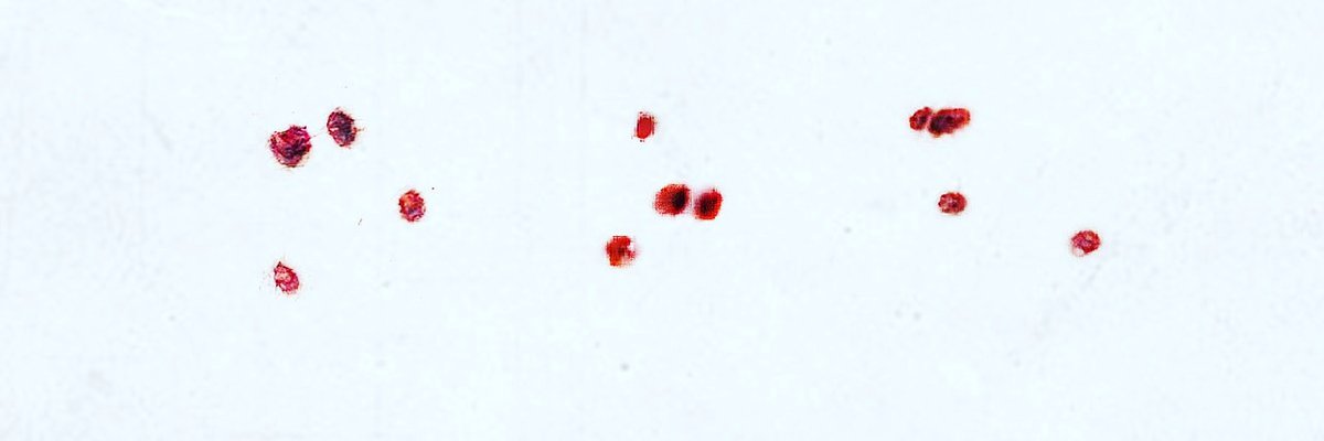 mohamed_alsaeed's profile banner image