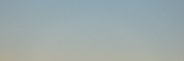 sampajotphipps's profile banner image