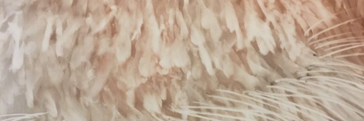 /////////////////// banner