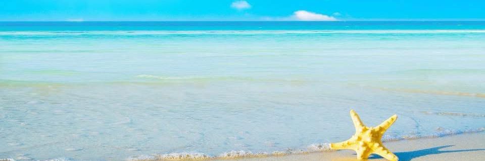 yady_ocasio's profile banner image