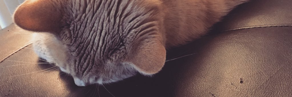 JoeGracz's profile banner image