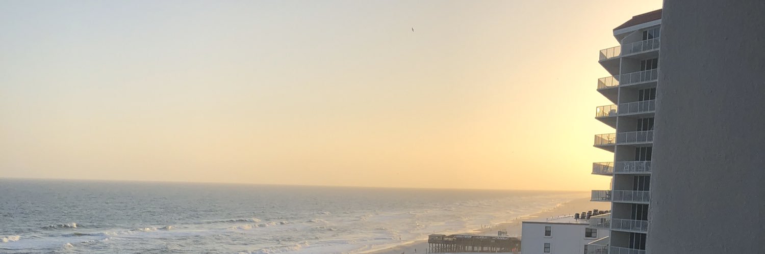 Brooklyn Bailey banner