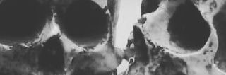 DeathVampire666's profile banner image