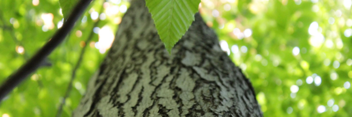 Padoxy28Anthony's profile banner image