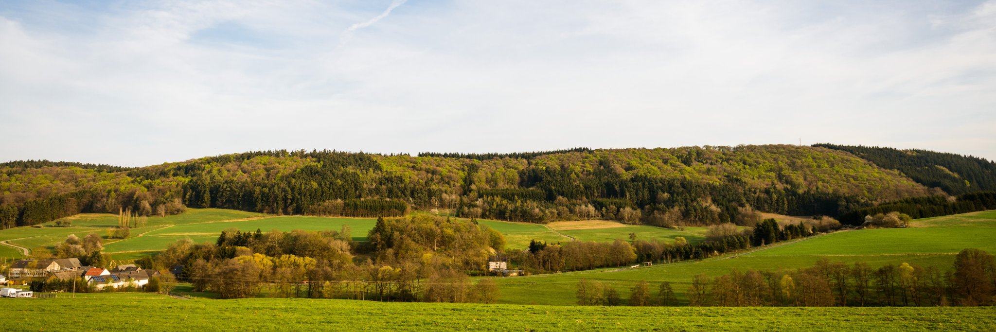 BioProphyl's profile banner image
