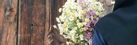 PeroRapaa's profile banner image