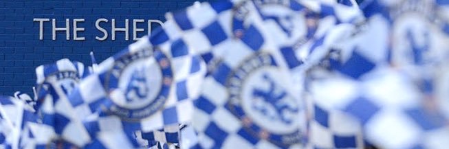warrenmizzi's profile banner image