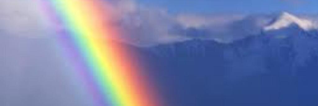 dianesodp's profile banner image