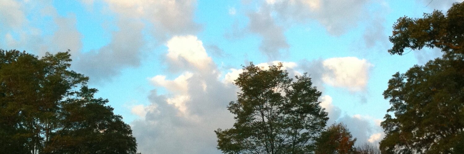 Leslie Harris banner