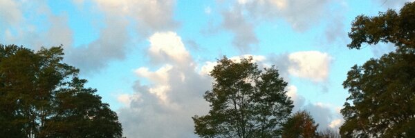 ProfLMH Profile Banner