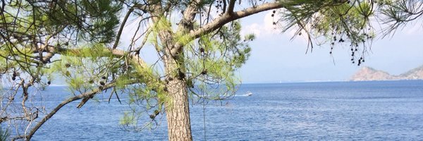 halukbilginer_ Profile Banner