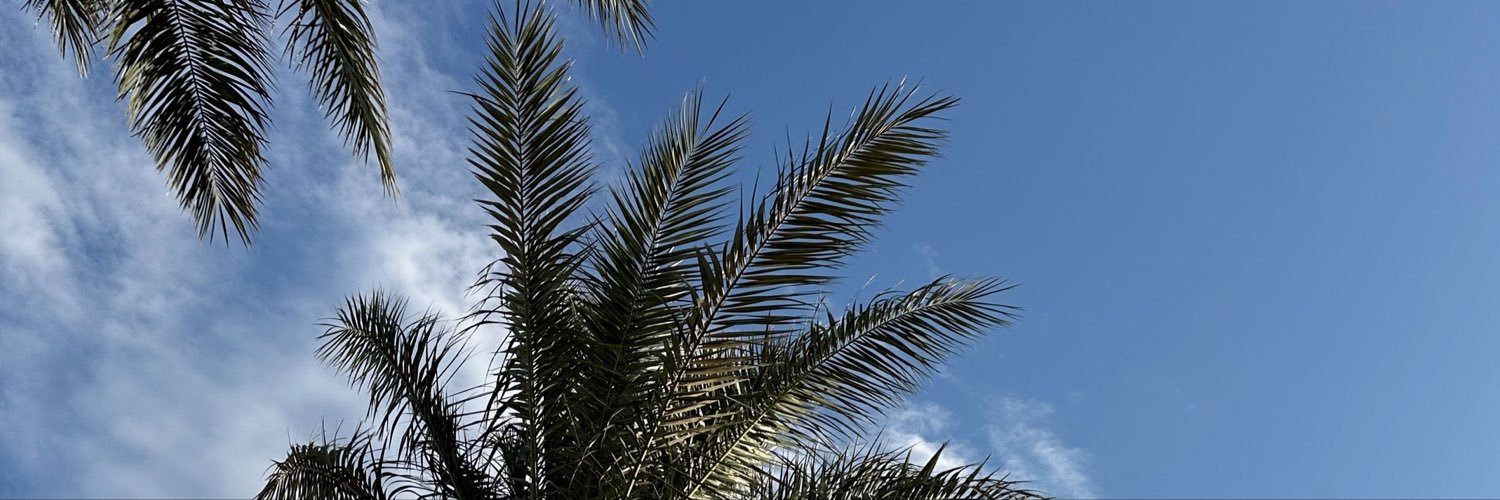 chulussa's profile banner image