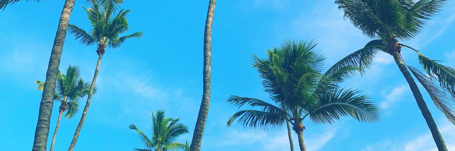 xogelsss's profile banner image