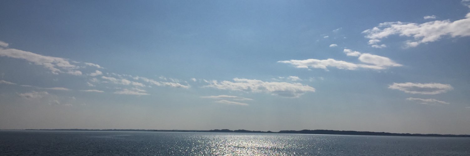 ukulelekidtw's profile banner image
