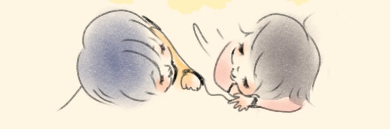 oki_rises's profile banner image