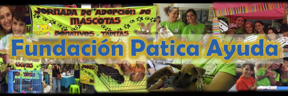 Patica Ayuda banner
