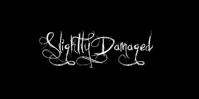 damagedslightly's profile banner image