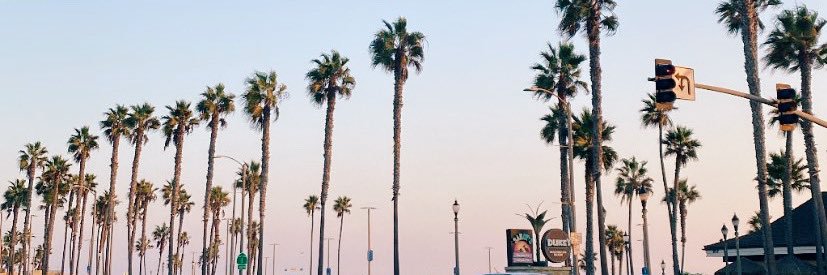 Sabrina Sorrell banner