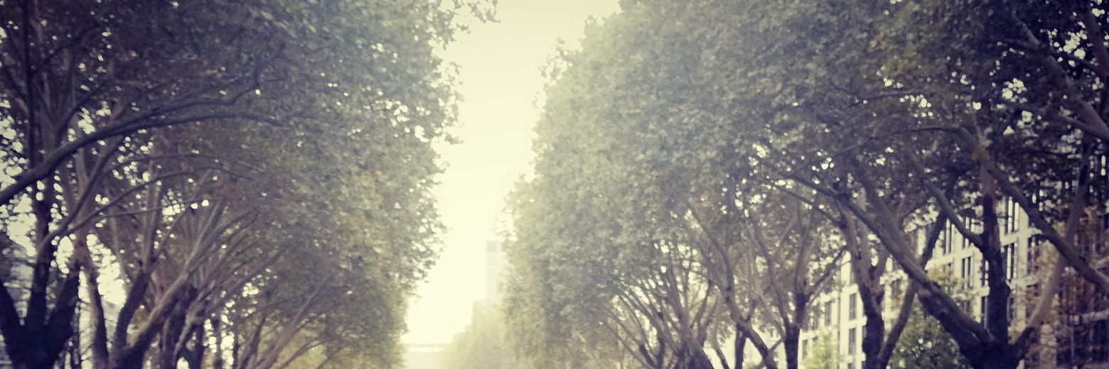 ahmed afifi banner