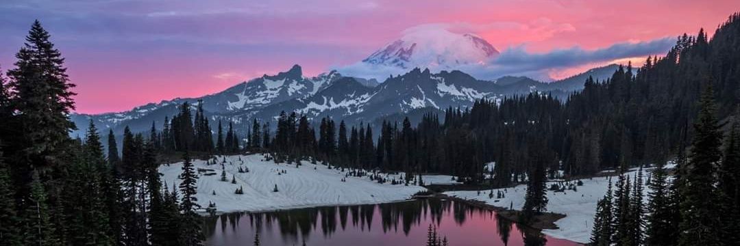 SuziSlapstick's profile banner image