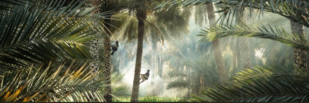 omani86's profile banner image