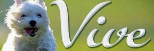 JudyGarzaS's profile banner image